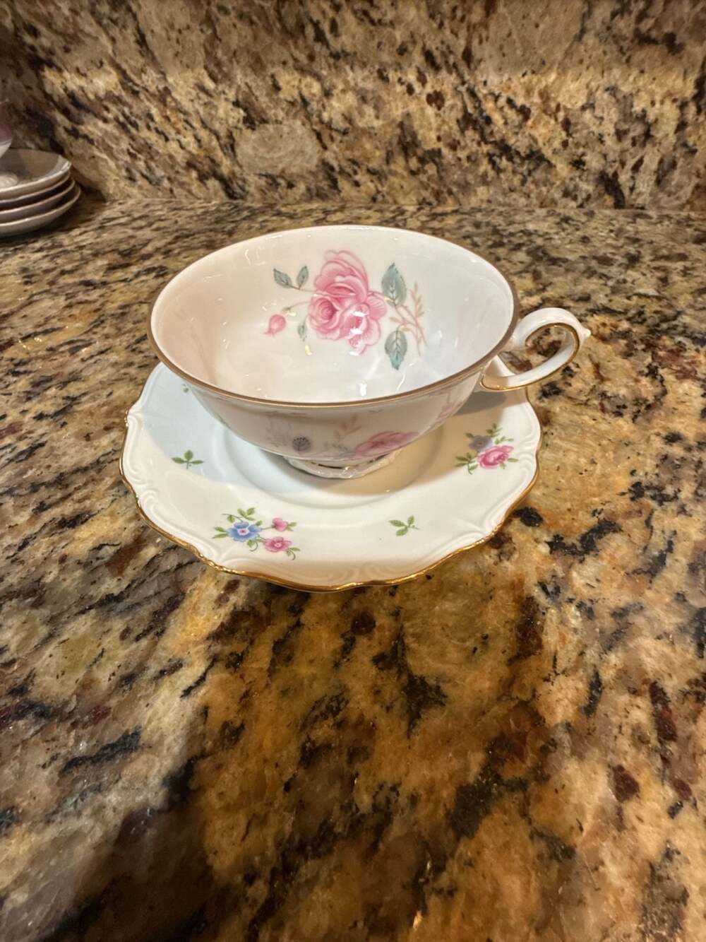 Forest Bavaria Germany Moonglow Teacup And Saucer Pink Rose Gold Trim